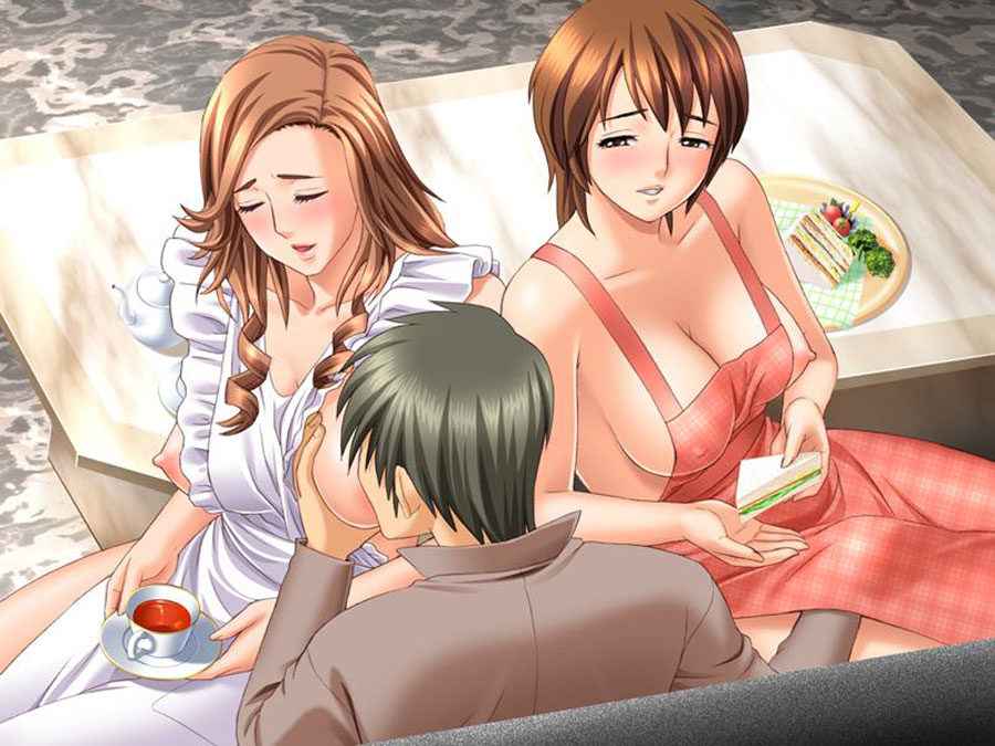 Two milfs and a guy Hentai Image